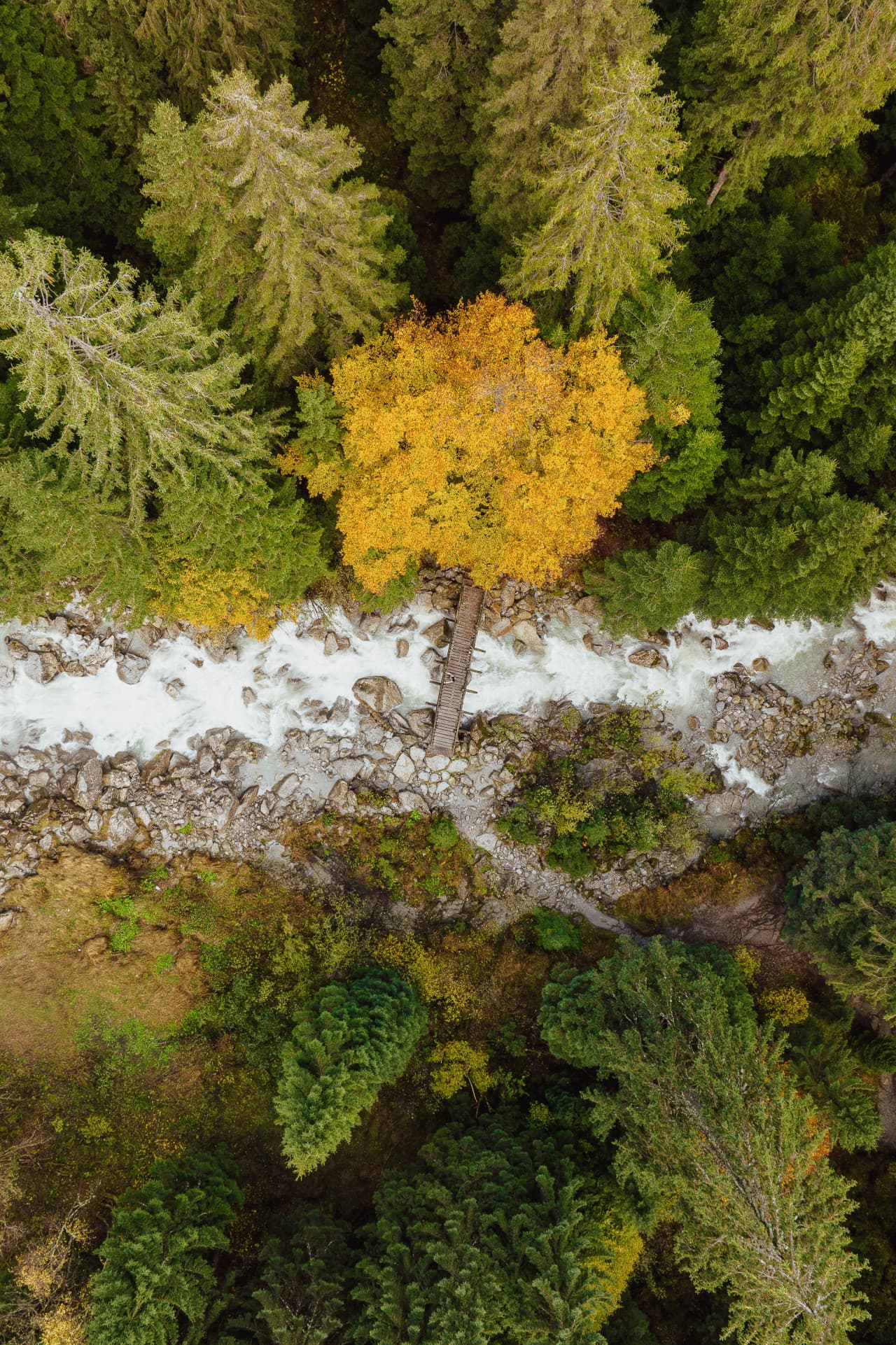 Wachsen Sie mit TREASURESTS